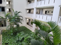 Blk 812B Choa Chu Kang Avenue 7 (Choa Chu Kang), HDB 4 Rooms #317441441